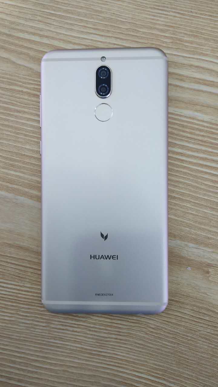 Fotografía filtrada del dorso plateado del Huawei G10. 