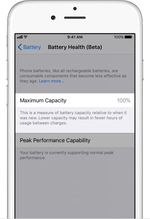 Captura de pantalla de los parámetros que muestra Battery Health en su estado de beta.