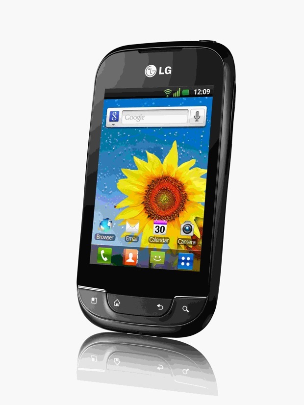 LG Optimus NET P690