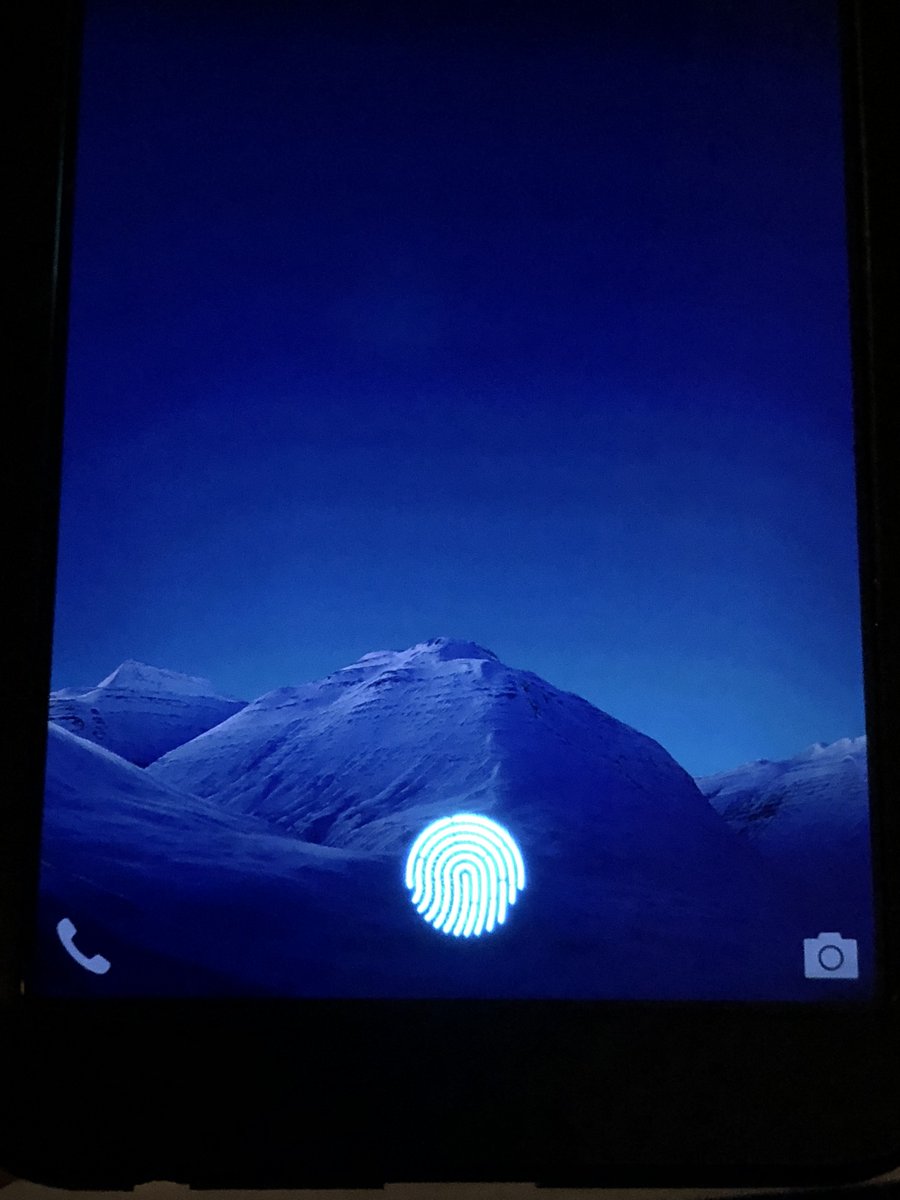 Imagen filtrada del prototipo de Vivo con el sensor FS9500 de Synaptics bajo su display.