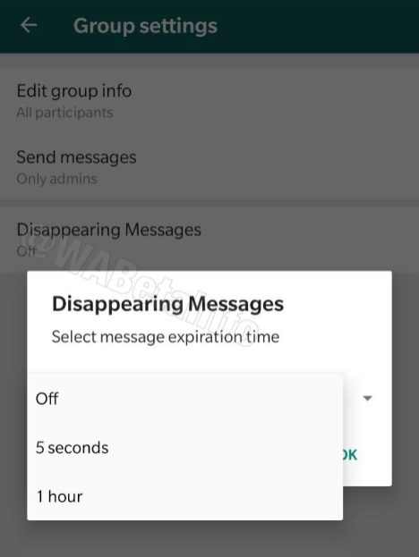 Nuestros mensajes en WhatsApp se autodestruirían en 5 segundos o 1 hora.