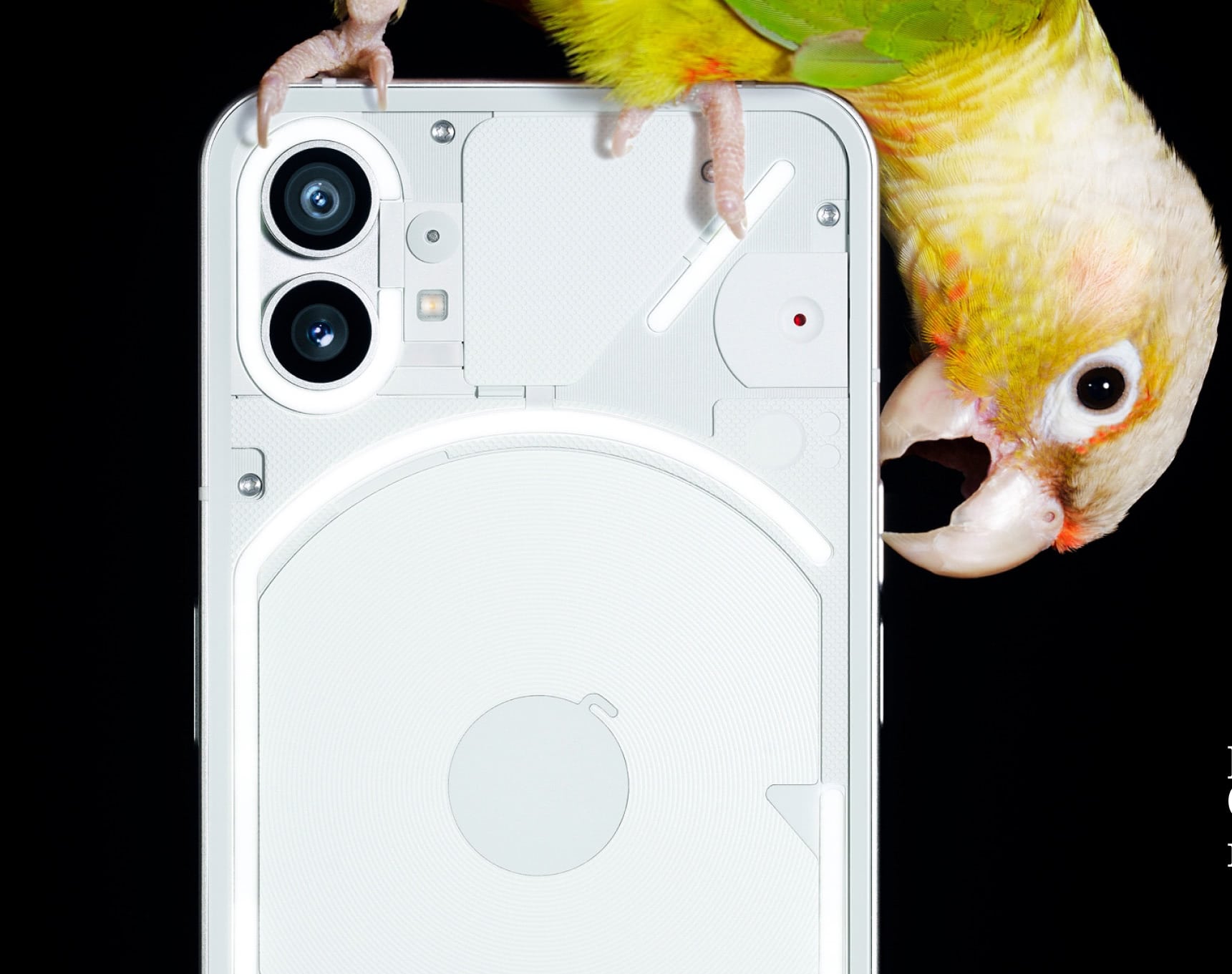 phone 1 detalle