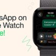 WhatsApp ya tiene app dedicada para el Apple Watch