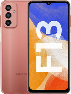 Samsung Galaxy F13