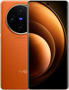 Vivo X100