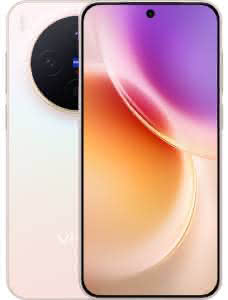 Vivo X300